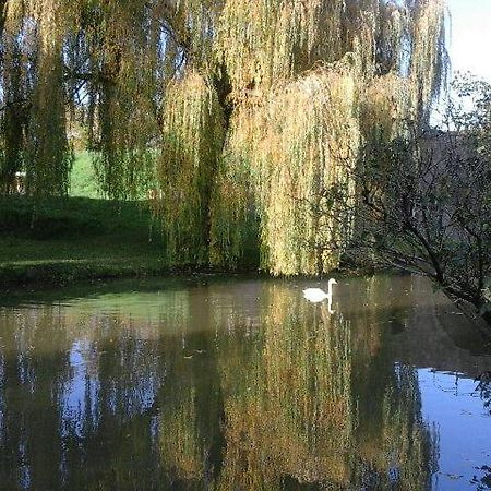 Le Clos des Cygnes Charolles Extérieur photo