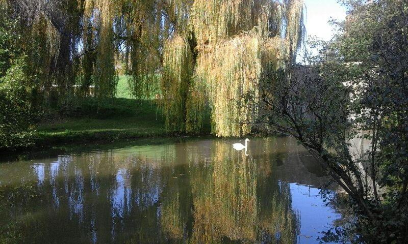 Le Clos des Cygnes Charolles Extérieur photo